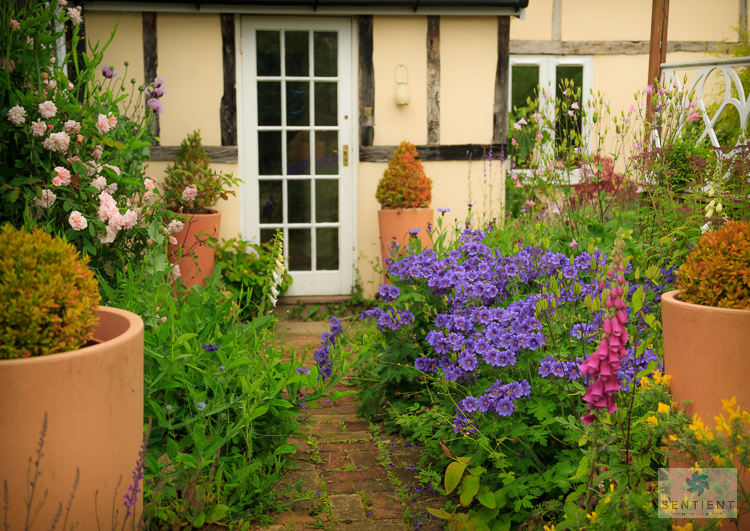 The Old Malt House Garden, Norfolk