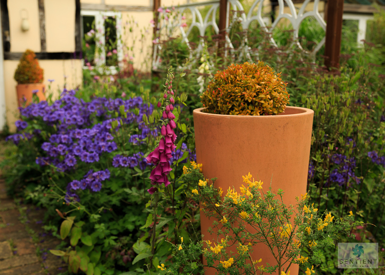 The Old Malt House Garden, Norfolk