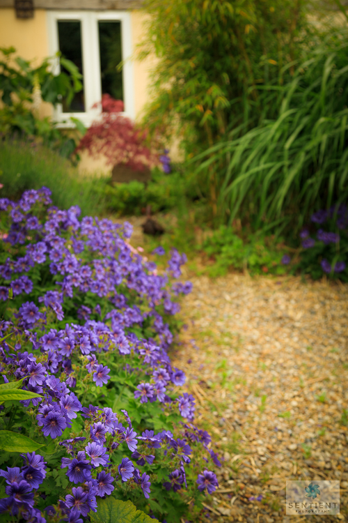 The Old Malt House Garden, Norfolk