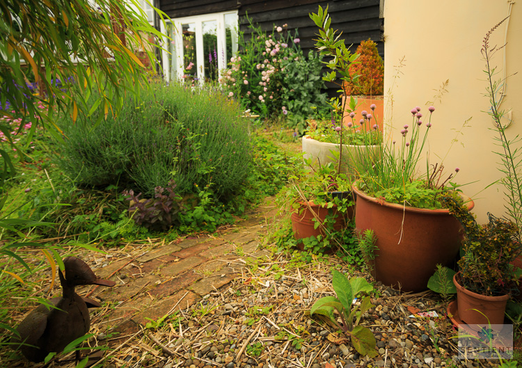 The Old Malt House Garden, Norfolk