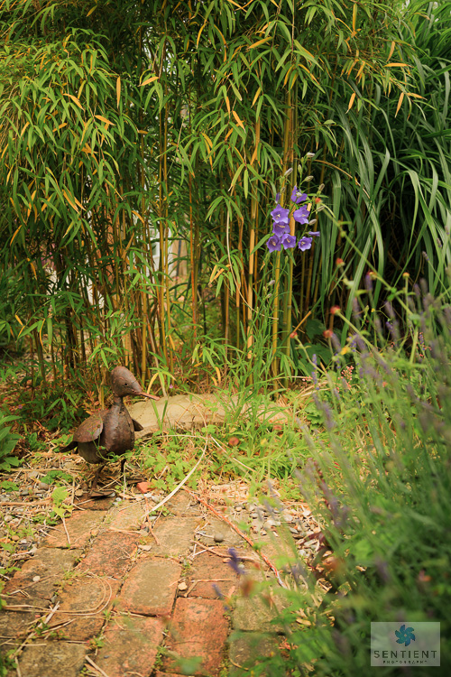 The Old Malt House Garden, Norfolk