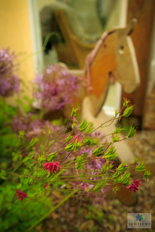 The Old Malt House Garden, Norfolk