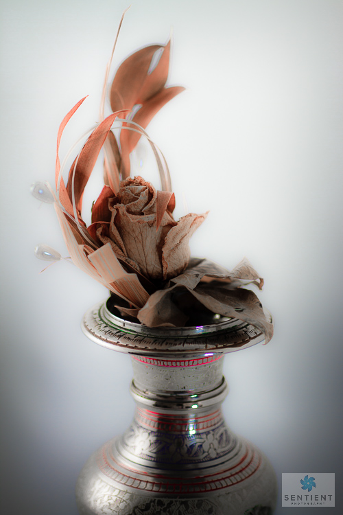 Dried Rose In Vase