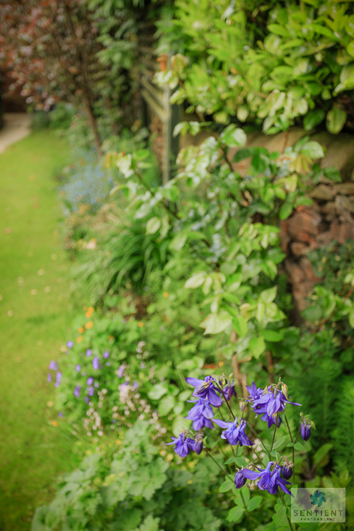 A Small Town Garden, Cheshire