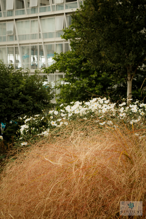 Liverpool One, Flowers & Gardens
