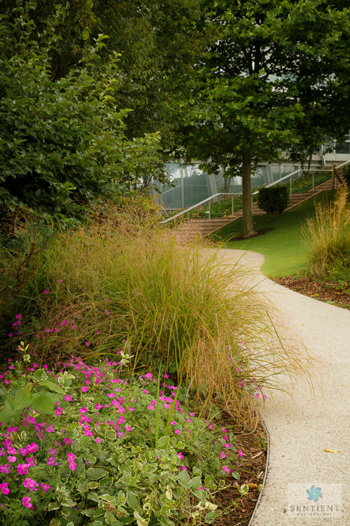 Liverpool One Flowers and Gardens