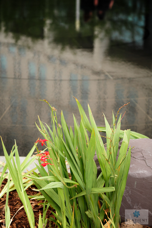 Liverpool One Flowers And Gardens