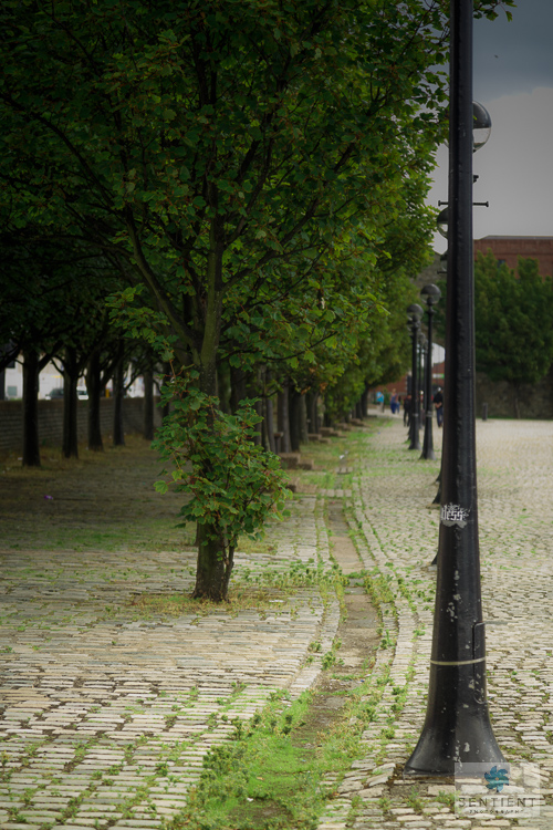 Albert Dock, Liverpool