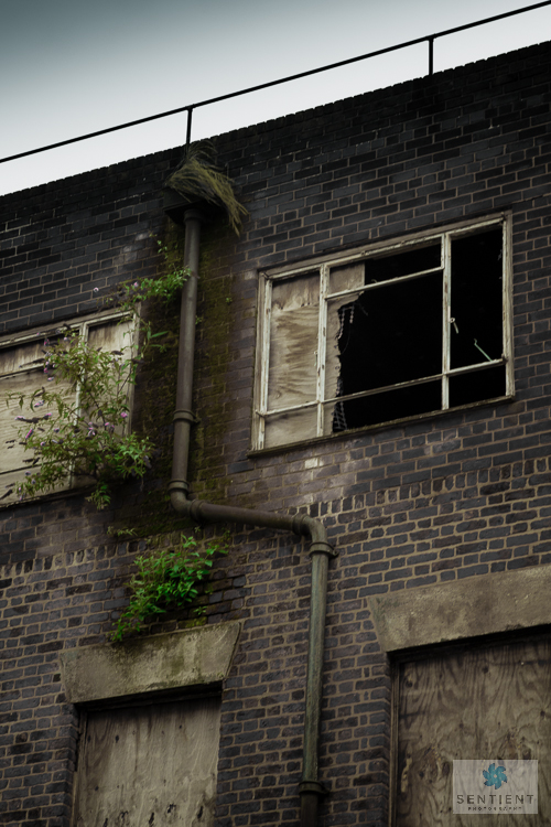 Derelict Factory, Liverpool