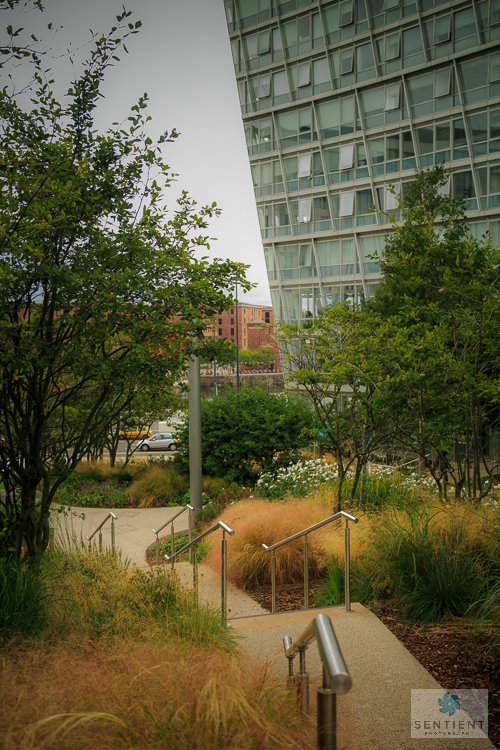 Liverpool One Flowers & Gardens
