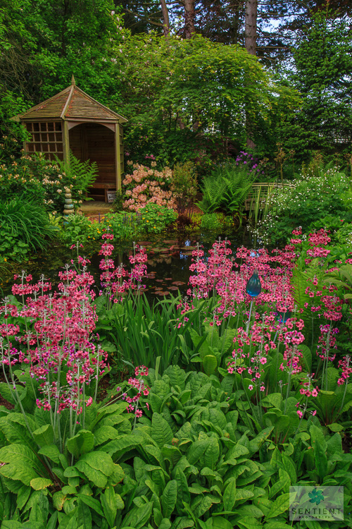 Sun House Garden - Bramhall