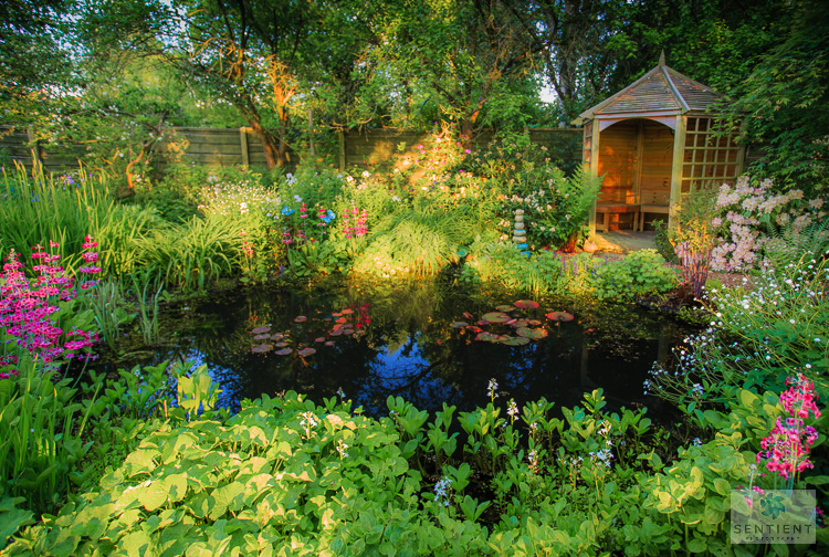 Sun House Garden - Bramhall