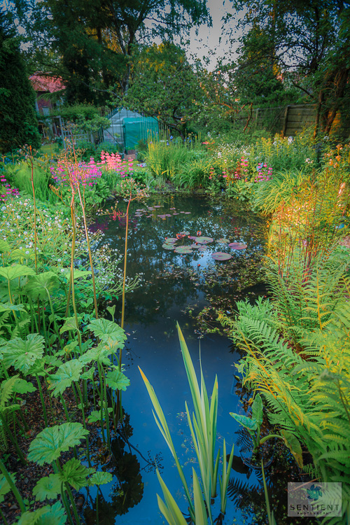 Sun House Garden - Bramhall