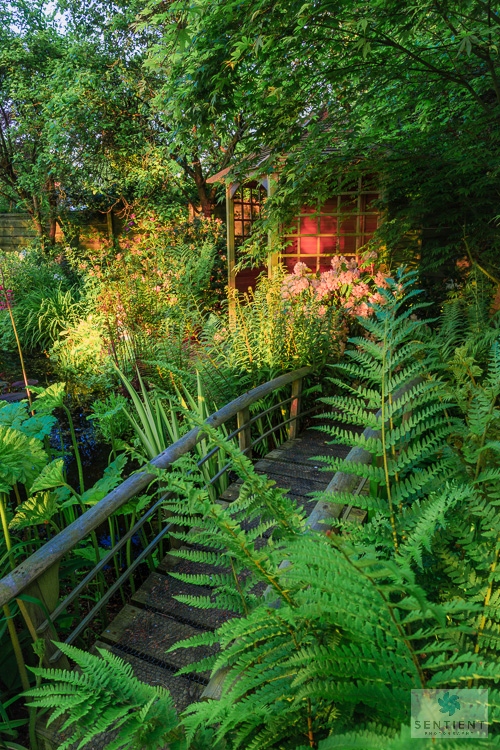 Sun House Garden - Bramhall