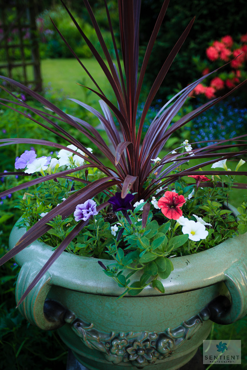 Sun House Garden - Bramhall
