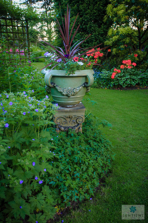 Sun House Garden - Bramhal