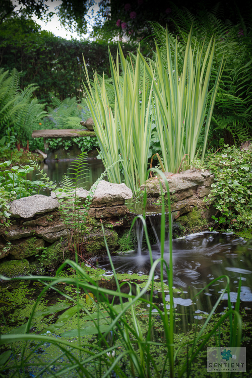 Sun House Garden - Bramhall