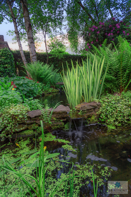 Sun House Garden - Bramhall
