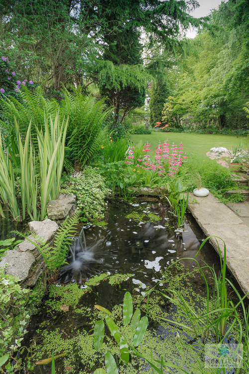 Sun House Garden - Bramhall