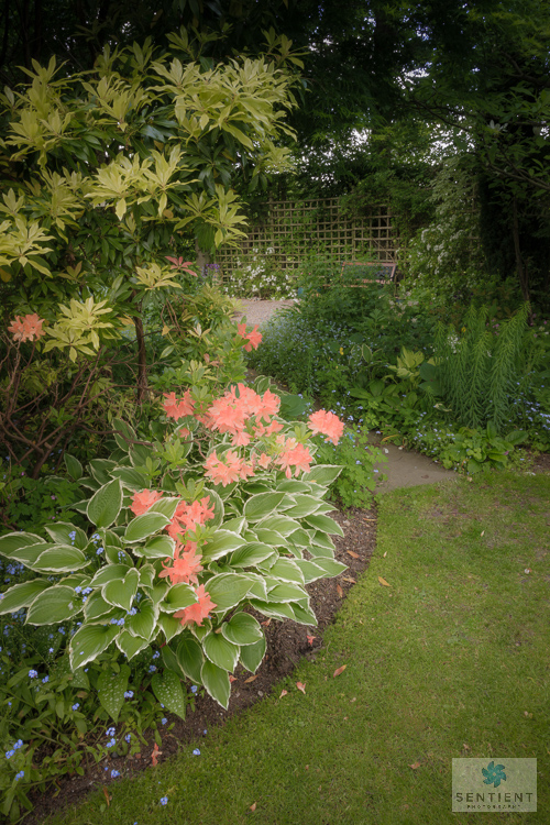 Sun House Garden - Bramhall
