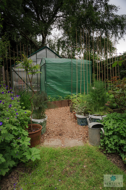 Sun House Garden - Bramhall
