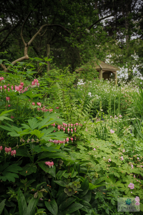 Sun House Garden - Bramhall