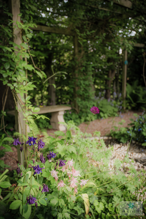 Sun House Garden - Bramhall