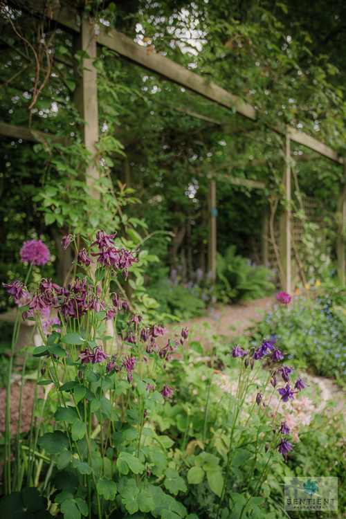 Sun House Garden - Bramhall