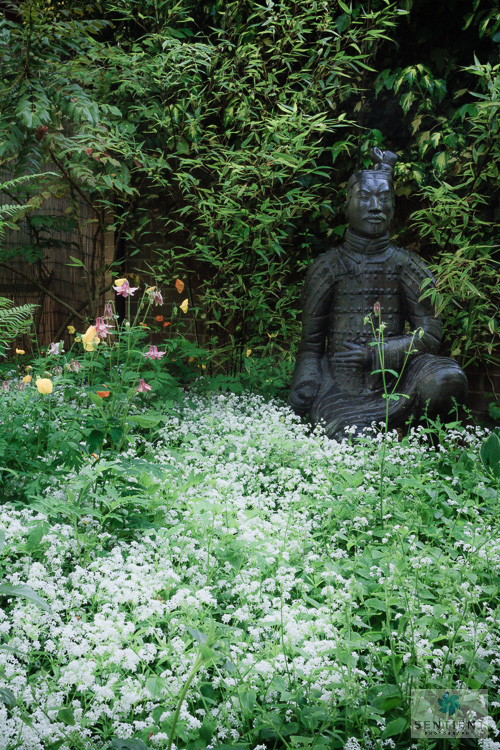 Sun House Garden - Bramhall