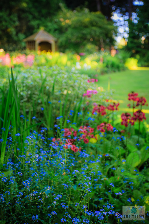 Sun House Garden - Bramhall