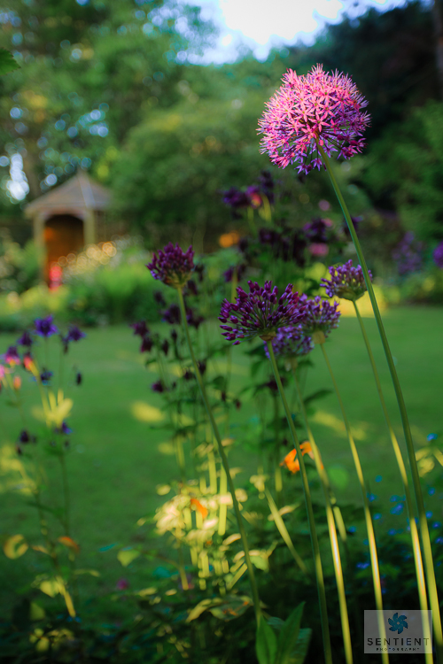 Sun House Garden, Bramhall