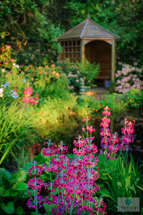 Sun House Garden - Bramhall