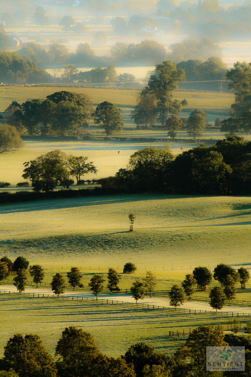 Trees & Fields Alderley Edge