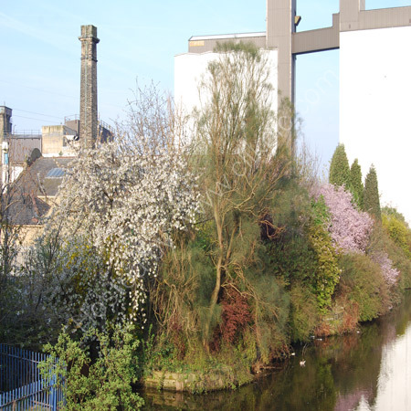 The Calder & Hebble Canal at Brighouse