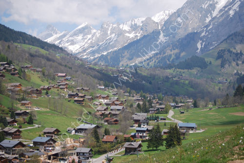Alpine pastures and wooden homes