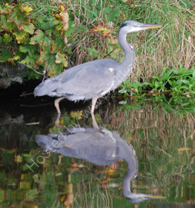 Fishing in the canal .....