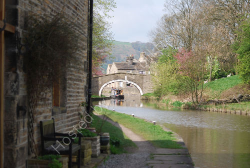 Coming under the bridge