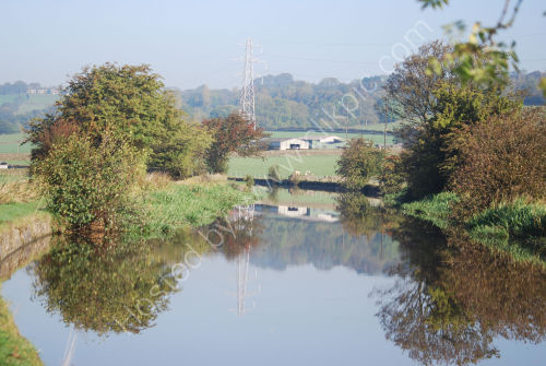 Rural and autumnal reflections
