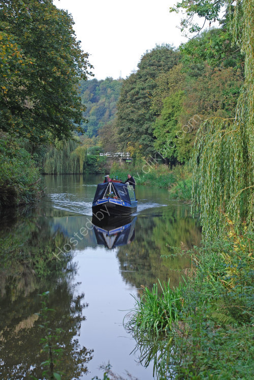 Cruising through the trees near Brighouse