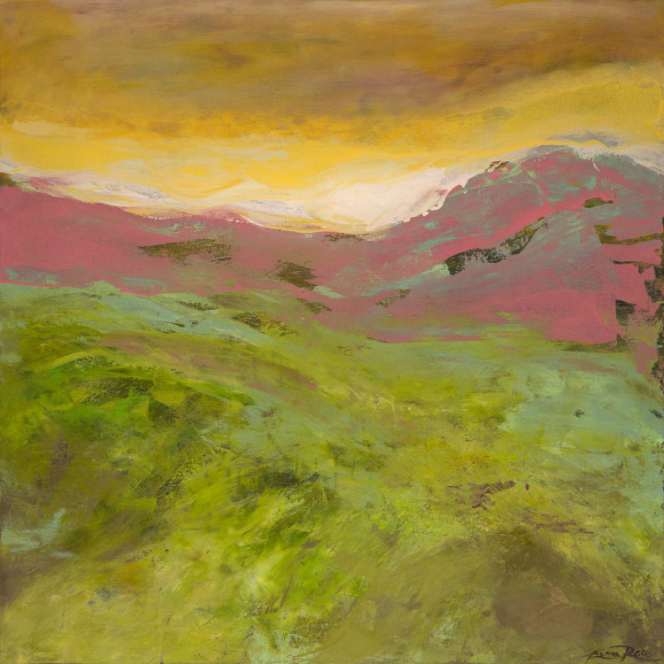 SPINDLE TREE RIDGE