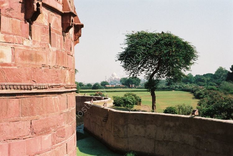 Castle - The Red Fort (with the Taj Mahal in the background)