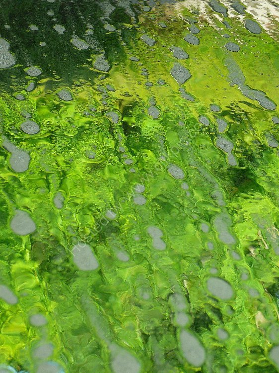 ENGLAND - Car Wash (from the inside of the car - must use Fairy Liquid ...)