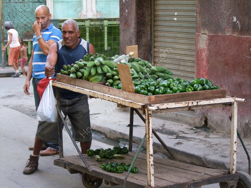 Cuban Plantain Seller, Havana