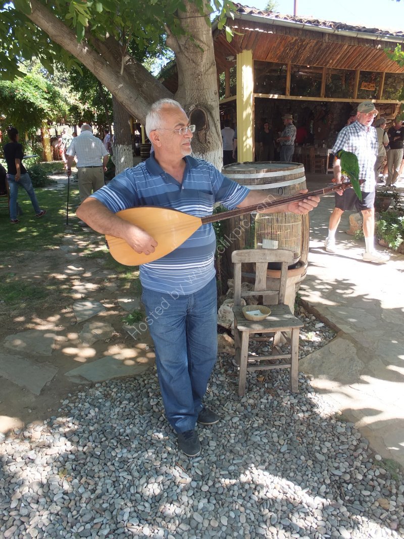 Musician with Parrot, Anatolia Restaurant, Aphrodisias