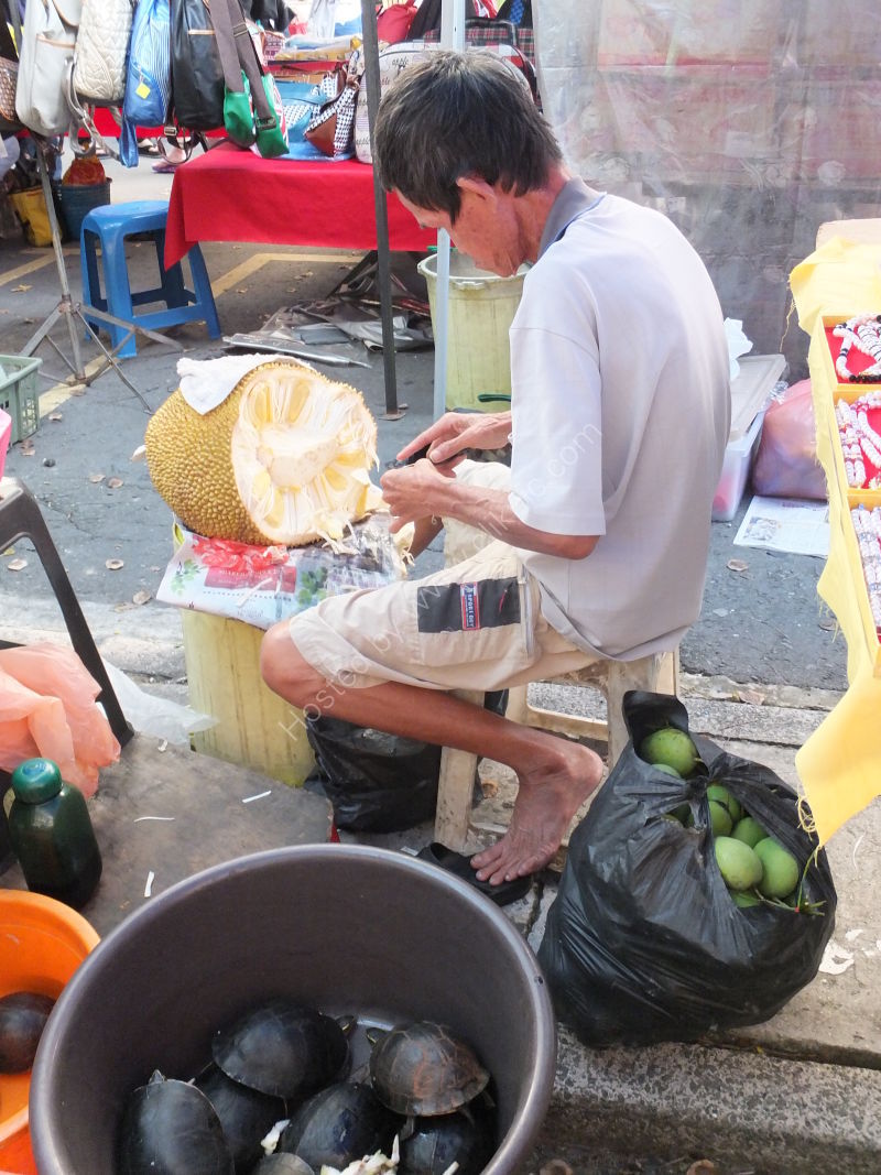 Cutting a Custard Fruit