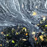 Autumn Flotsam