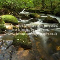 Rocky woodland river
