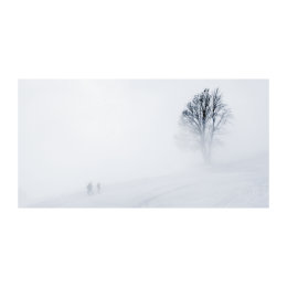 Trio and Tree