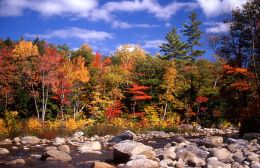 Autumn on Saco River