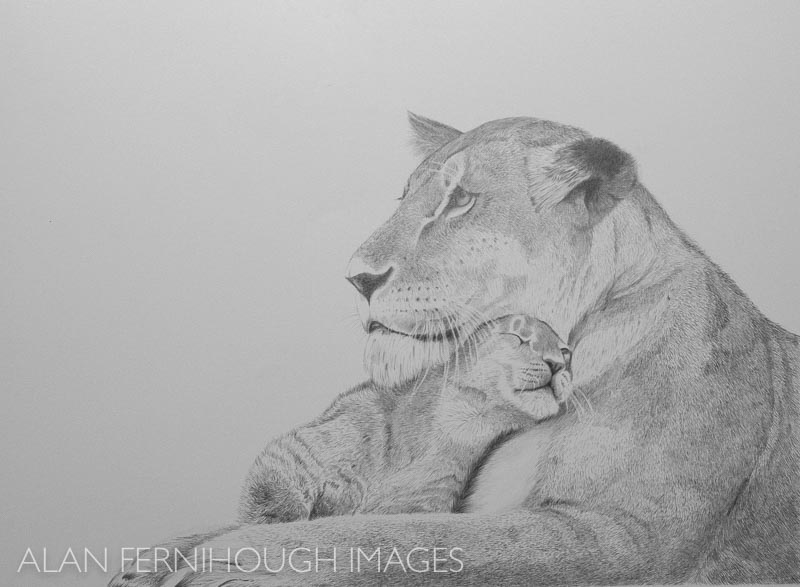 Lioness and Cub